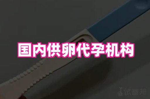 贵州助孕网站 1