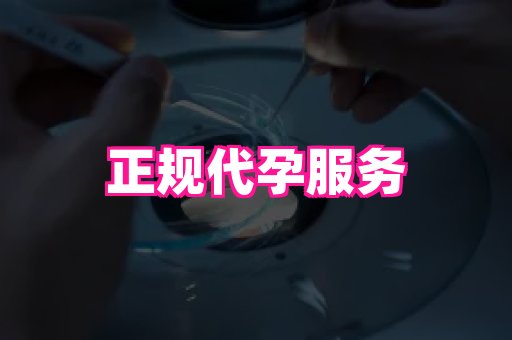 贵州助孕网站 2