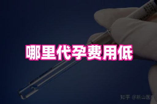 贵州助孕网站 3