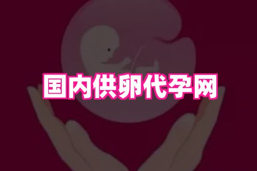 贵州助孕网站 4